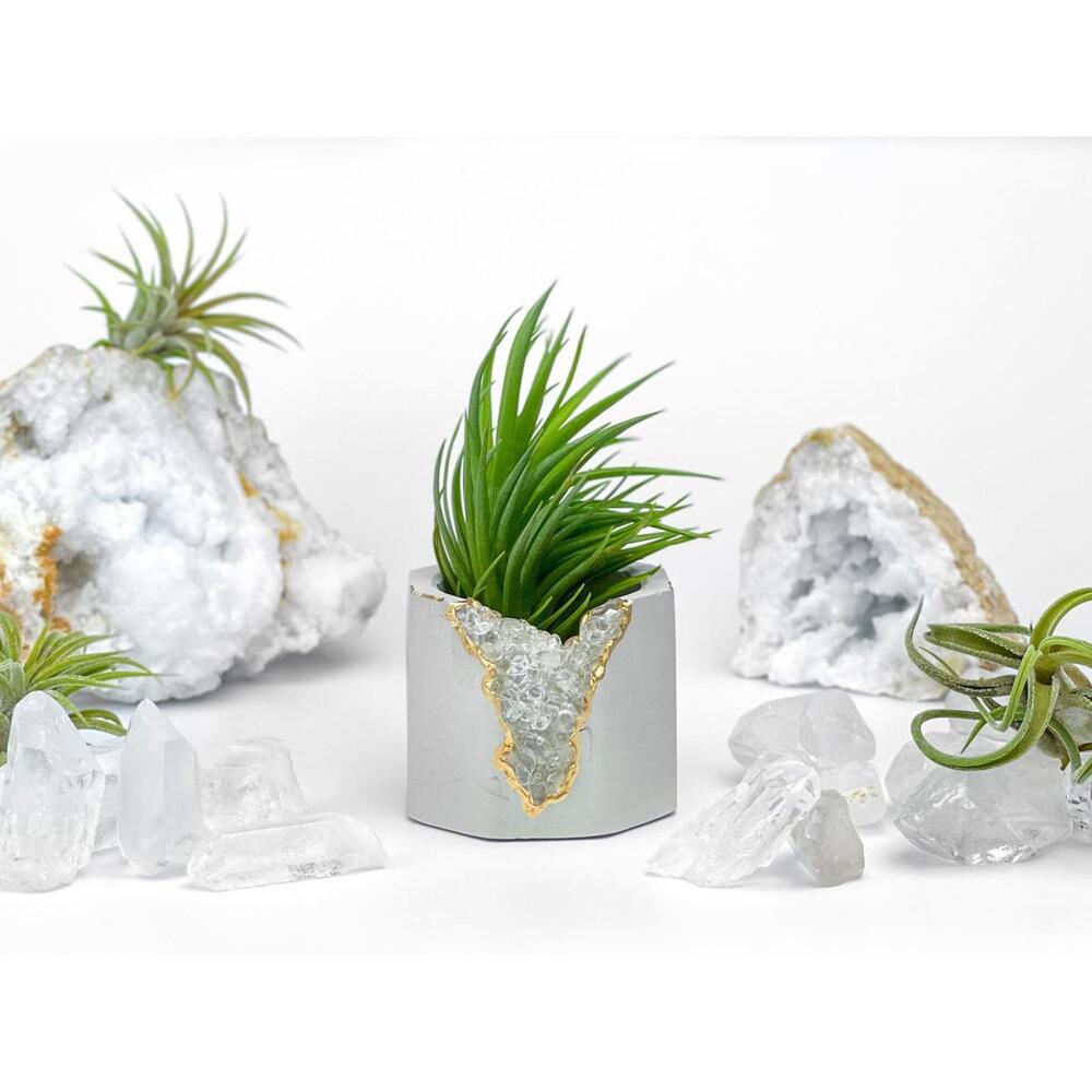 Clear Quartz Crystal Planter Small Succulent Pot tillandsia